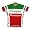 Formaggio Italia Red/Green Cycling Jersey (L)