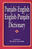 Punjabi-English/English-Punjabi Dictionary (Hippocrene Dictionary)