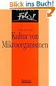 Kultur von Mikroorganismen