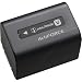 Sony NP-FV70 Rechargeable Battery Pack - Retail Packaging