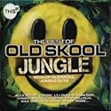 This Is... the Best Old Skool Jungle
