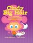Cindy Big Hair: A Twisted (and Teased & Braided) Cinderella Story