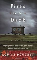 Fires in the Dark: A Novel