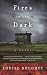 Fires in the Dark: A Novel
