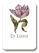 Botanical Tulip - Set of 20 Adhesive Bookplates