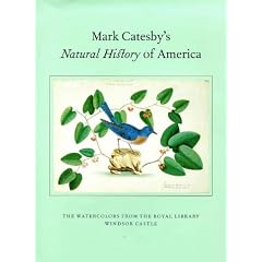 Mark Catesby's Natural History of America: Watercolours from the Royal Library, Windsor Castle
