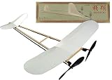41DZGX9ZE2L. SL160  Hishou   A Plane Model Kit