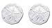 Solid Sterling Silver Sand Dollar Earrings
