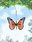 The Encore Group Monarch Butterfly Small
