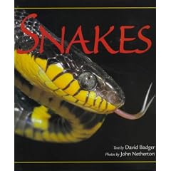 SNAKES