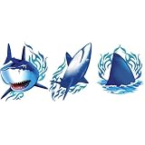 Sharks Tattoos
