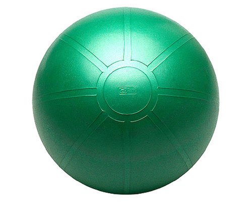 GoFit Ultimate Burst Resistant Core Stability Ball with Workout DVD (75 cm)