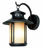 Trans Globe Lighting 5950 BK 12 1/2 Inch 1 Light Outdoor Small Down Wall Lantern, Black 41DZKe9ktkL. SL160 Trans Globe Lighting 5950 BK 12 1/2 Inch 1 Light Outdoor Small Down Wall Lantern, Black