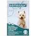 Kitchen & Housewares : Advantage Flea Control for Dogs 11-20 lbs. (Twelve Dose (12-applications))