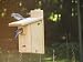 Birds Choice Ultimate Bluebird House w/Viewing Window