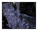Blue Ice 2 Scenic Photographic Poster Print by Diane Moore, 10x8