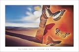 Salvador Dali Paysage Aux Papillons Art Poster Print - 24" X 36"