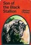 Son of the Black Stallion