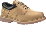 Caterpillar Men's Ridgemont Honey # P73279 at Caterpillar