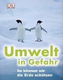 Umwelt in Gefahr. ...