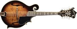 Washburn  M6SWK Florentine Cutaway Mandolin (Maple)
