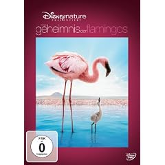 Das Geheimnis der Flamingos