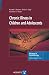 Chronic Illness in Children and Adolescents (Advances in Psychotherapy: Evidence Based Practice)