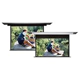 Vutec 01-DP120-146PRO Vu-Flex Pro PRO Duplex Dual Retractable Screen - 147" diagonal HDTV Format