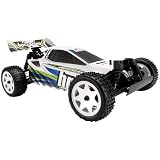 Brama 10B 4WD Electric Buggy RTR by HobProducts International