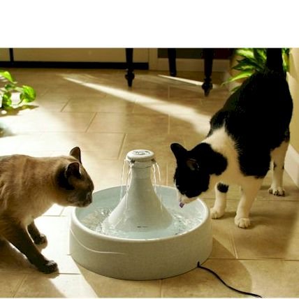 Drw Waterer Fountain 360