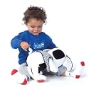 Playability Buddy Dog