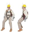 Klein 87893 Fall-Arrest/Positioning/Suspension Harness for Tree Trimming Work, X-Large