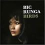 Birds (Tour Edition)