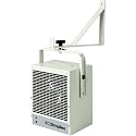 Dimplex DGWH4031 Garage/Workshop Electric Heater- Heats Up to 400 Sq Ft!