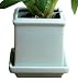 Plant Furniture 3031 Perfect Orchid Pot, Icy Blue