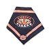 Dog Bandana - Auburn University - Medium/Large