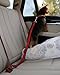 Dog Seat Belt - Premium Adjustable Reflective Pet Leashes - Pocket with Zipper for Waste Bags - Leash with Gel-Like Padded Handle - Safety Dog Seatbelt Harness for Car/Vehicles (Red)