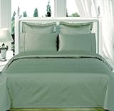 Solid Sage Green Twin Duvet Cover Set 450 Thread Count Egyptian Cotton