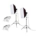 Photosel Ls21e52s Professional Softbox Studio Lighting Kit W