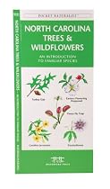 North Carolina Trees & Wildflowers: An Introduction to Familiar Species (State Nature Guides)