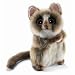 Tarsier