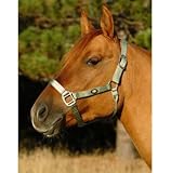 Hamilton Earth Series Deluxe 1 Nylon Horse Halter with Adjustable Chin and Snap - Average (800-1100 lbs)