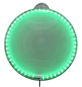 Fish Bubble from KAZE HOME