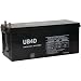 UPG Sealed Lead-Acid Battery - AGM-type, 12V, 200 Amps, Model# UB-4D