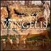 The Music of Vangelis
