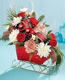 Holiday Sleigh Ride