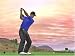 Tiger Woods PGA Tour 07 