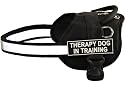 Dt Works By Dean & Tyler. Ideal Service Harness for Working Breeds. Service, Search & Rescue, Security, Therapy, Assistance Etc... - Medium - Fits Girth 28" - 34" - Harness with Removable Patches - THERAPY DOG IN TRAINING - Patches Included!!! - Reflective Trim on the Chest - Adjustable for Everyday Use!!! - Contact Us for More Patches!!! - Made in Europe !!!