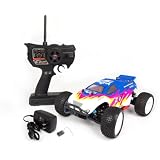 ZD Racing 9022 1 16 Scale 4WD Brushless Electric Truggy (RTR) by ZD Racing