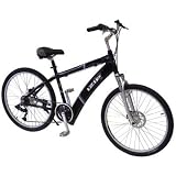 2007 Izip Trailz Enlightened, Black